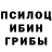 Галлюциногенные грибы Magic Shrooms MultQ