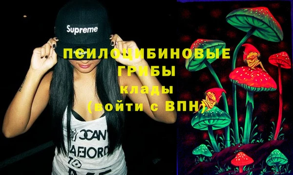 jwh Верея
