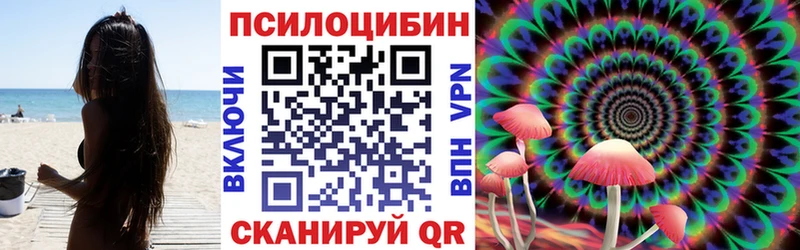 Купить закладки Гагарин Галлюциногенные грибы мухоморы